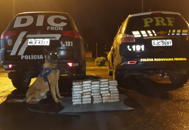 Foto: PRF/Divulgação/JRTV