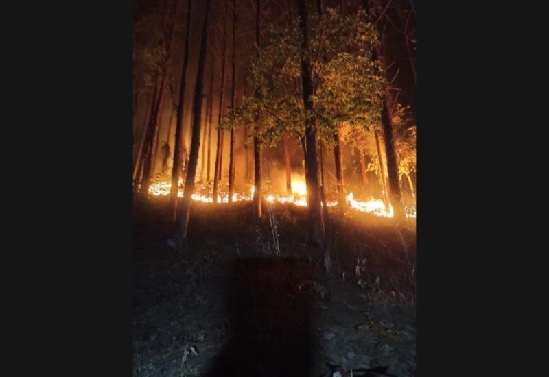 Foto: Corpo de Bombeiros