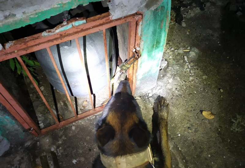Foto: PM/Divulgação/JRTV