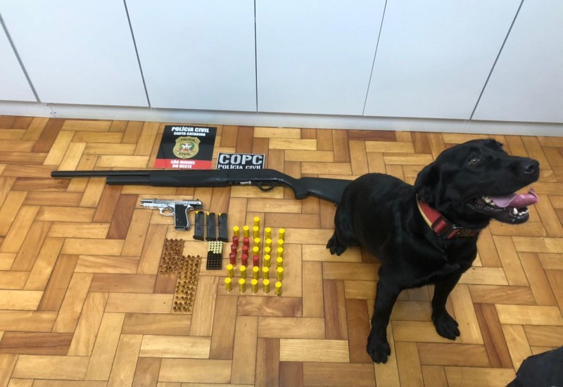 Foto: Polícia Civil/ Divulgação