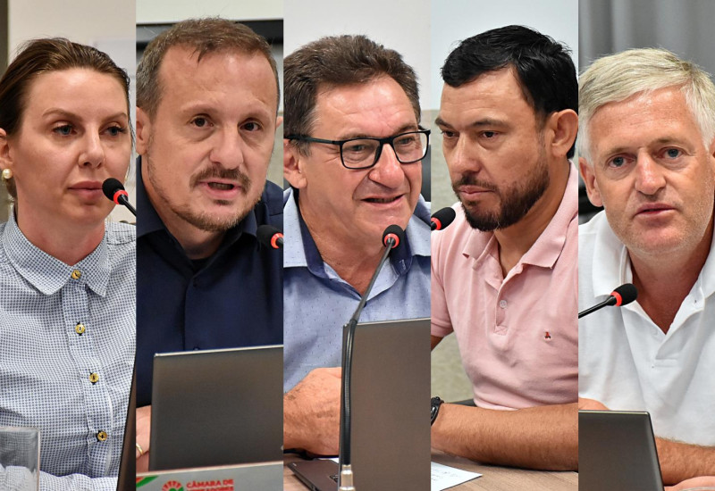 Foto: Tiarajú Goldschmidt/Câmara de Vereadores
