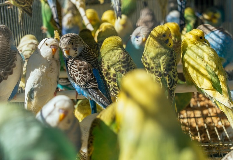 Imagem de wirestock no Freepik