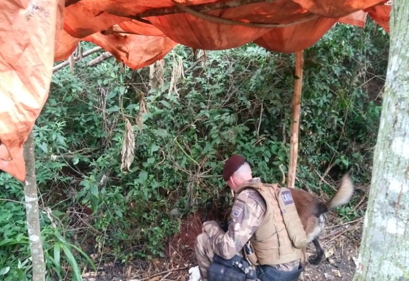 Foto: PM/Divulgação/JRTV