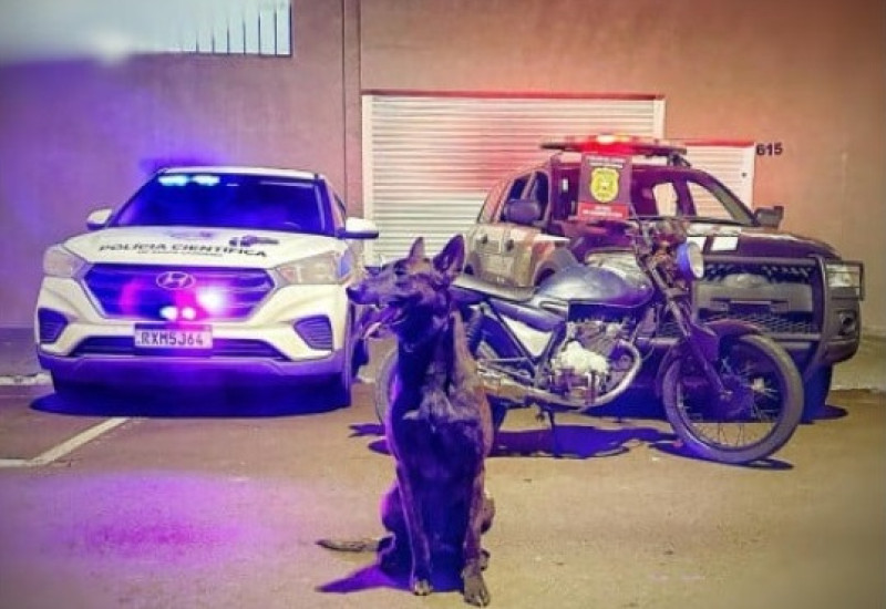 Fotos: DIC - Polícia Civil SLO