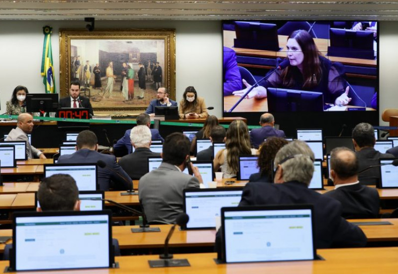 Foto: Najara Araújo/Câmara dos Deputados