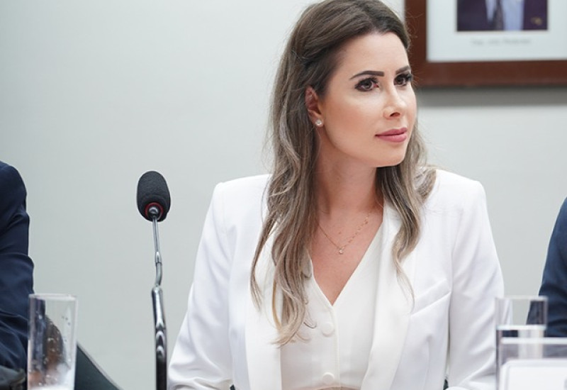 Foto: Câmara dos Deputados/Ascom
