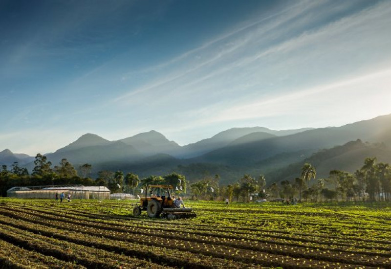 Foto: Ricardo Wolffenbüttel / Secom