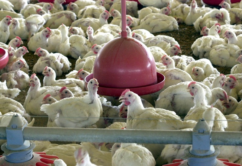 Foto: Arquivo/Agência Brasil