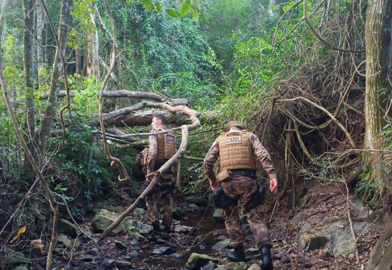 Foto: PM/Divulgação/JRTV