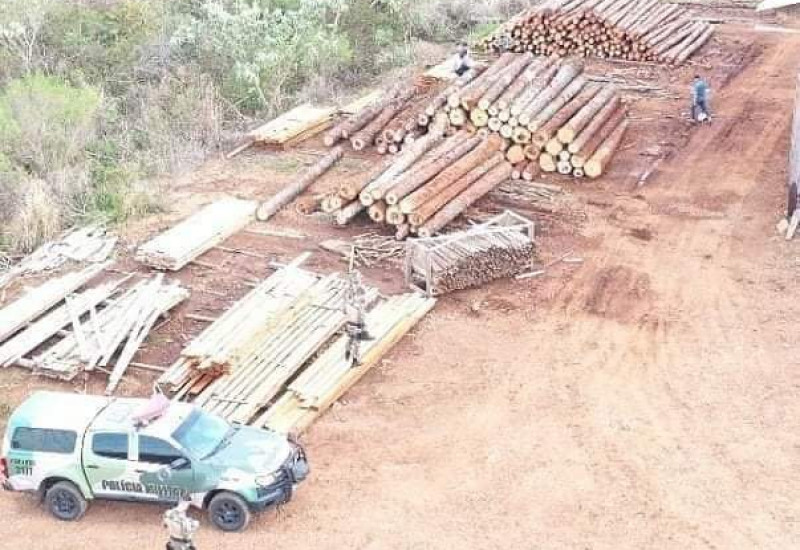 Fotos: Polícia Militar Ambiental