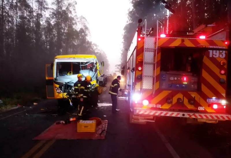 Ônibus escolar se envolveu em acidente na SC-446  (Foto: Divulgação/ND)
