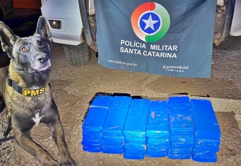 Foto: PM/Divulgação