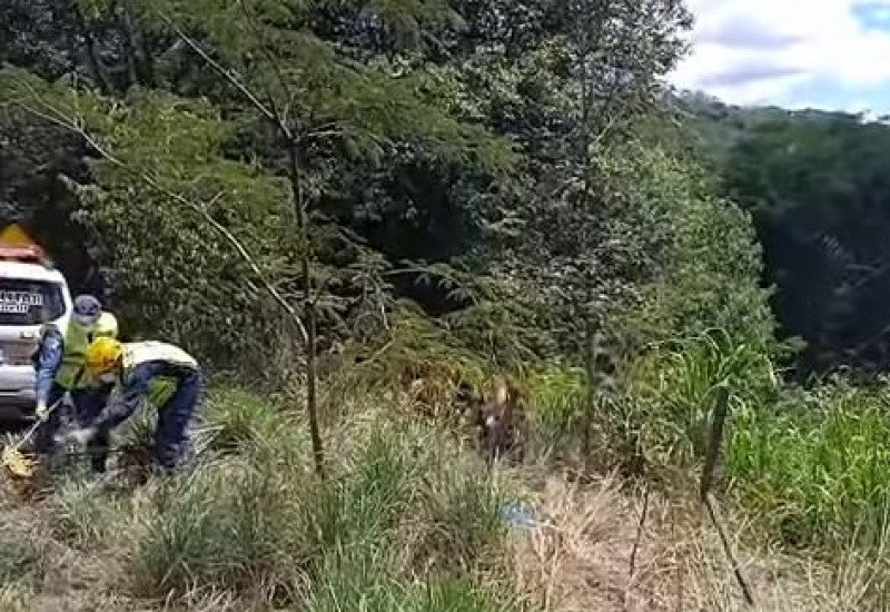 Foto: Reprodução/NovaFM