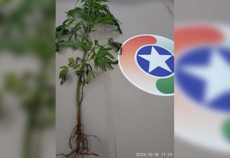 Foto: PM/Divulgação/JRTV