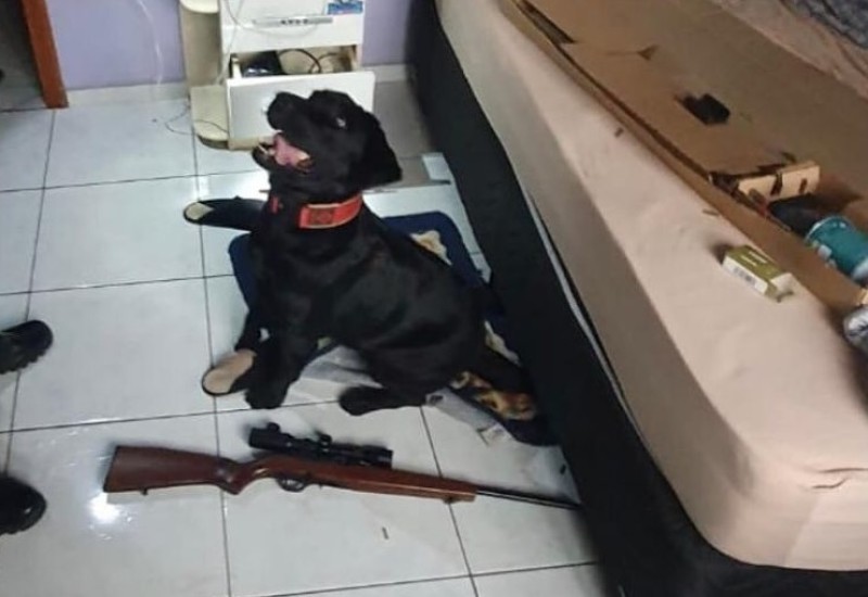 Foto: Polícia Civil/ Divulgação