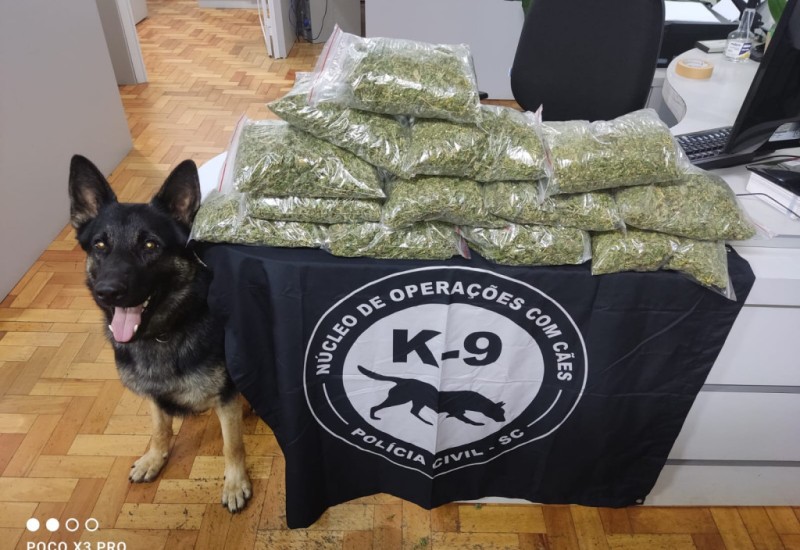 Foto: Polícia Civil/ Divulgação