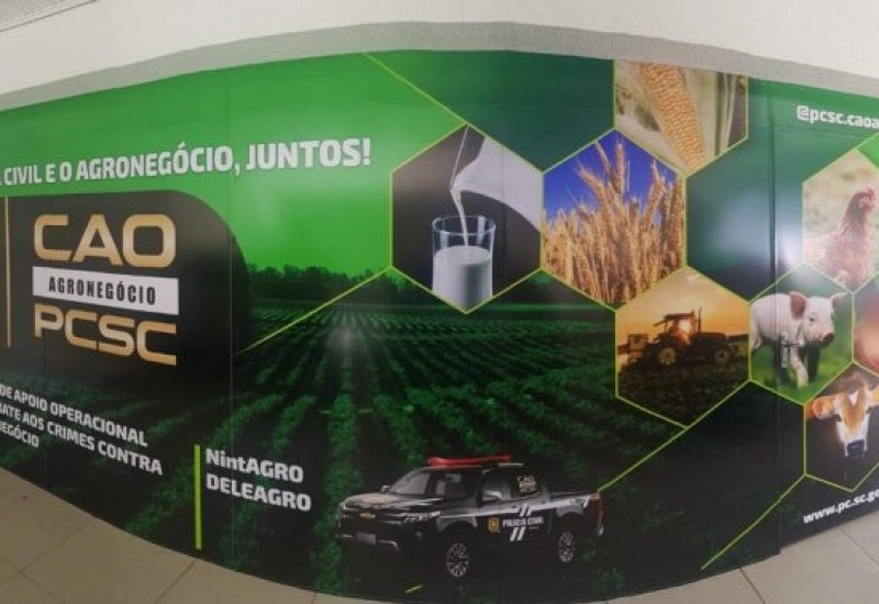 Foto: Ascom/Polícia Civil