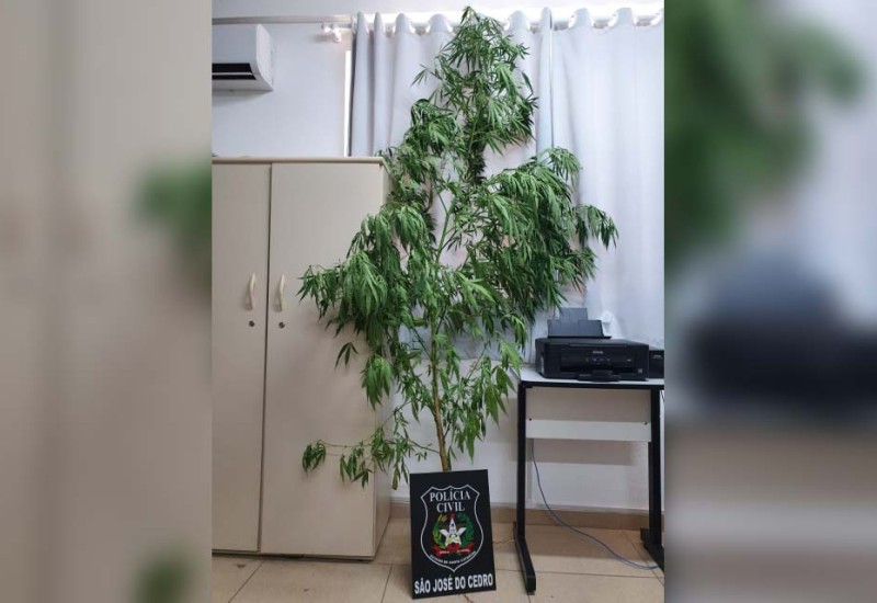 Foto: Polícia Civil/ Divulgação