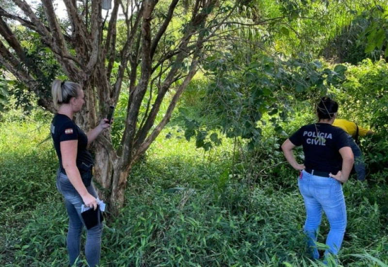 Foto: Polícia Civil/ Divulgação
