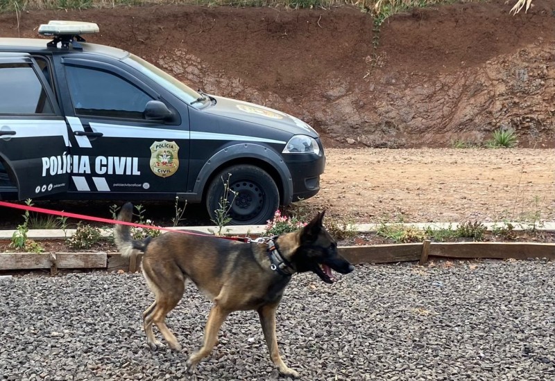 Fotos: Polícia Civil/ Divulgação/JRTV