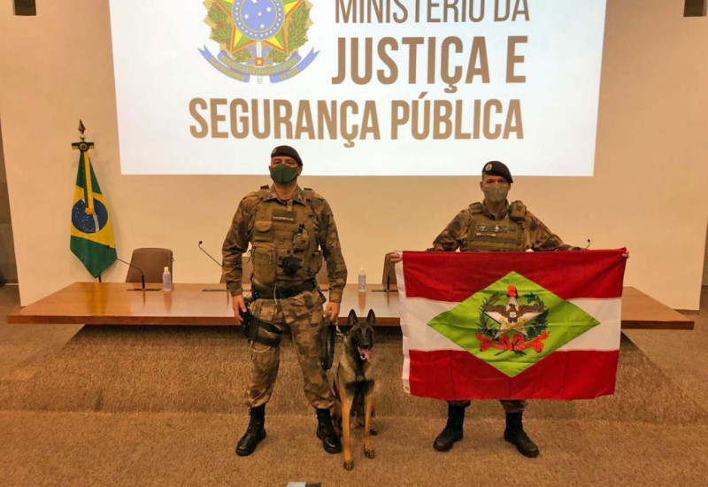Fotos: PM/Divulgação/JRTV