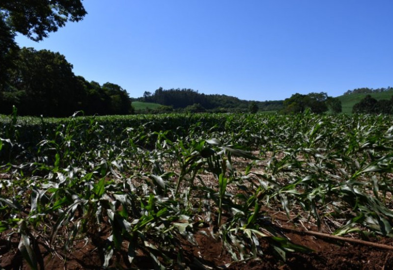 Foto: Prefeitura de Guaraciaba/Divulgação