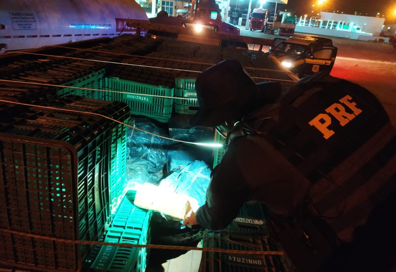 Foto: PRF/Divulgação/JRTV