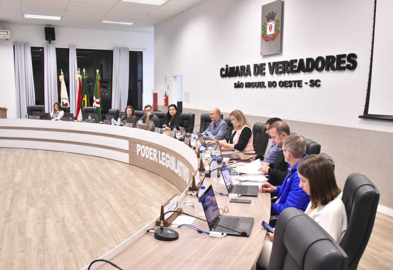 Foto: Tiarajú Goldschmidt/Câmara de Vereadores