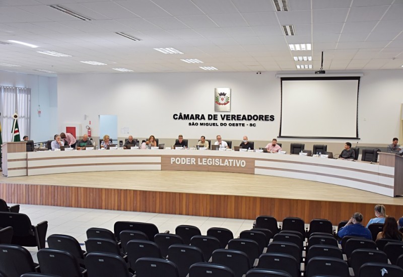 Foto: Tiarajú Goldschmidt/Câmara de Vereadores
