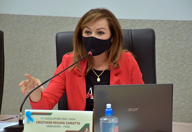 Proposta de Cris Zanatta teve pareceres contrários e nem chegou a ser votada em plenário | Foto: Tiarajú Goldschmidt/Câmara de Vereadores