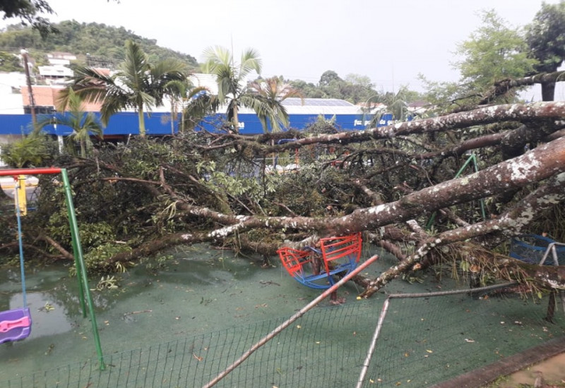 Forte temporal causa estragos no centro de Palmitos. Foto: Elizandro Stefeni