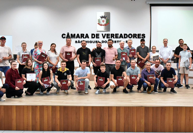 Foto: Tiarajú Goldschmidt/Câmara