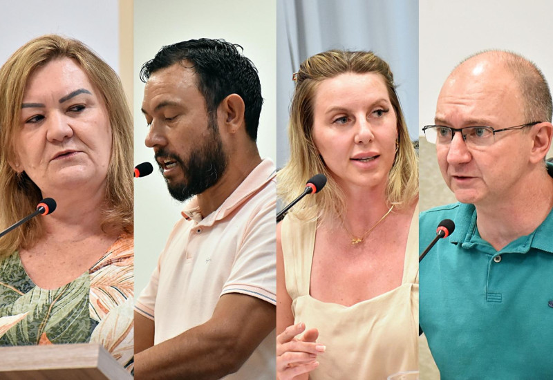 Foto/arte: Tiarajú Goldschmidt/Câmara de Vereadores