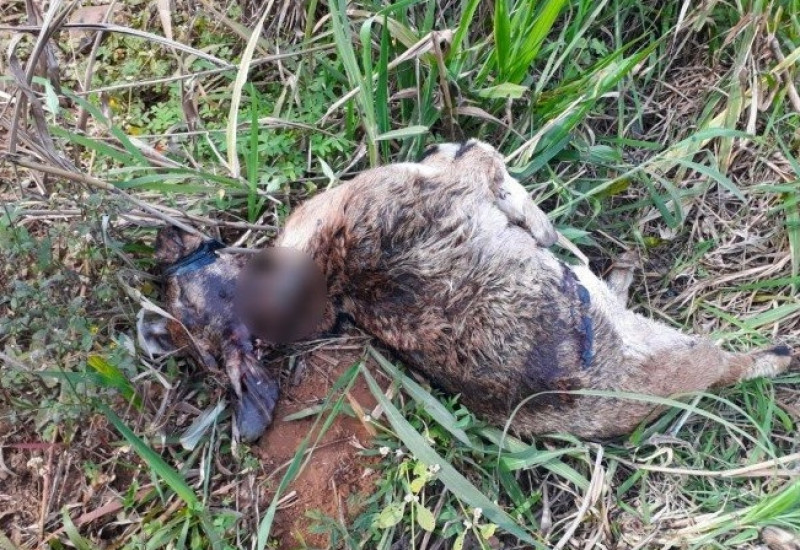 Foto: Divulgação/JRTV