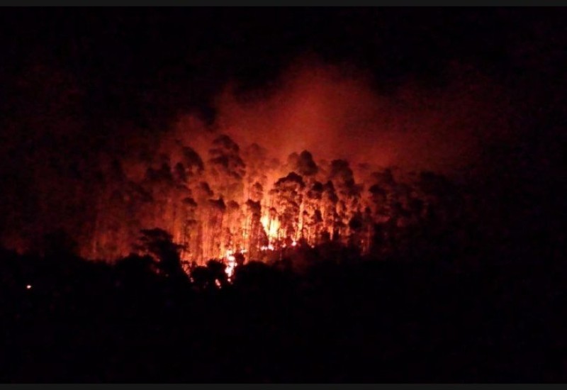 Foto Corpo de Bombeiros