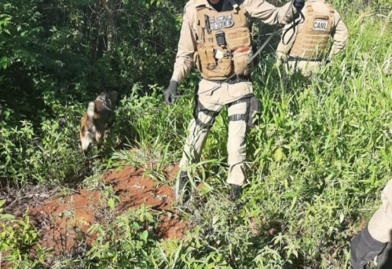 Fotos Polícia Militar