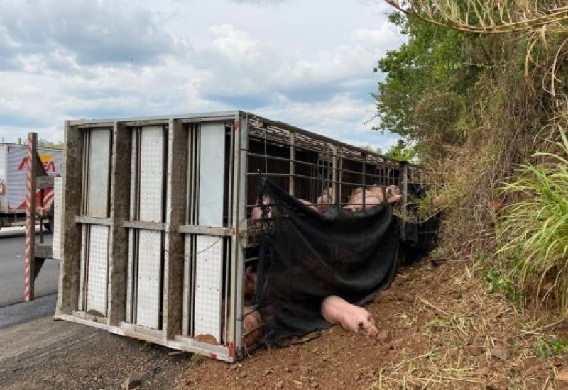 Foto: Cristian Lösch/Portal Peperi