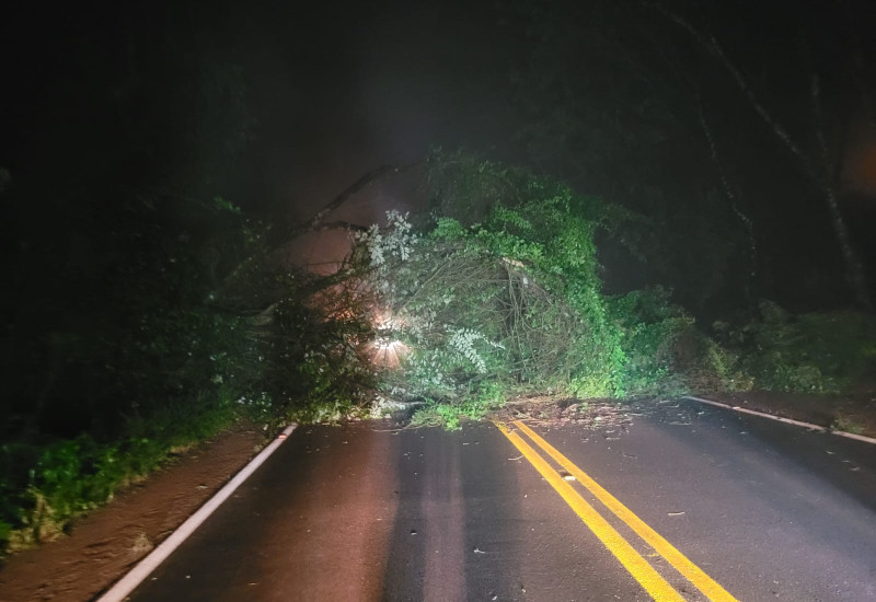 Divulgação/Bombeiros