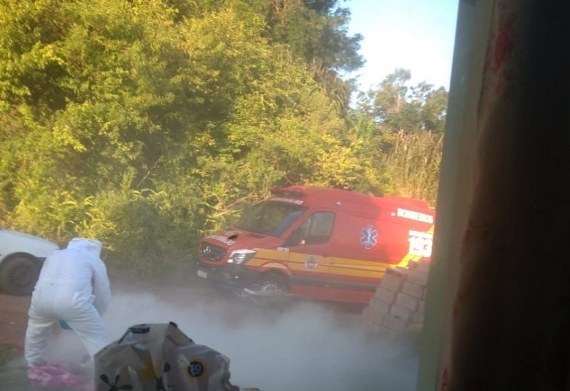 Bombeiros utilizaram extintor de incêndio para dispersar as abelhas (Foto: João Pedro Machado/Corpo de Bombeiros)