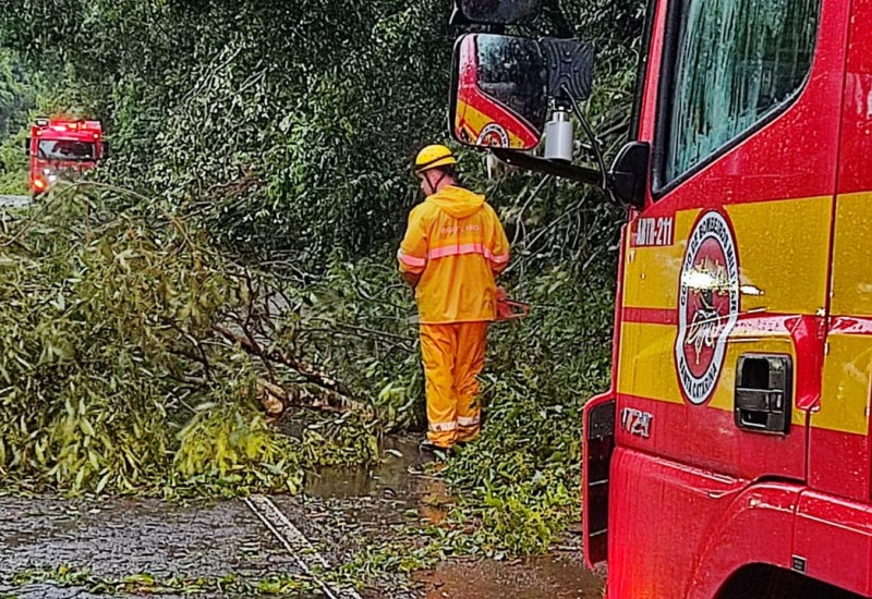 Divulgação/Bombeiros
