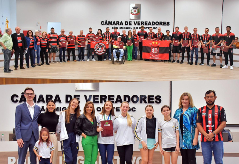 Foto: Tiarajú Goldschmidt/Câmara