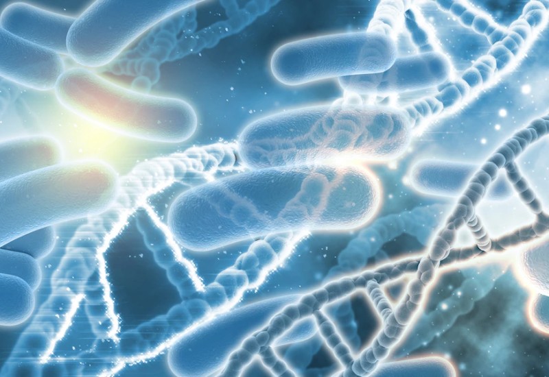 Imagem de kjpargeter no Freepik