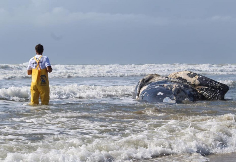 Foto: PMP BS / Udesc