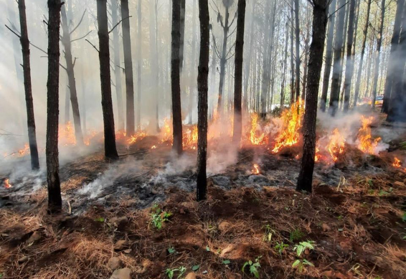 Fotos: Bombeiros/Divulgação/JRTV