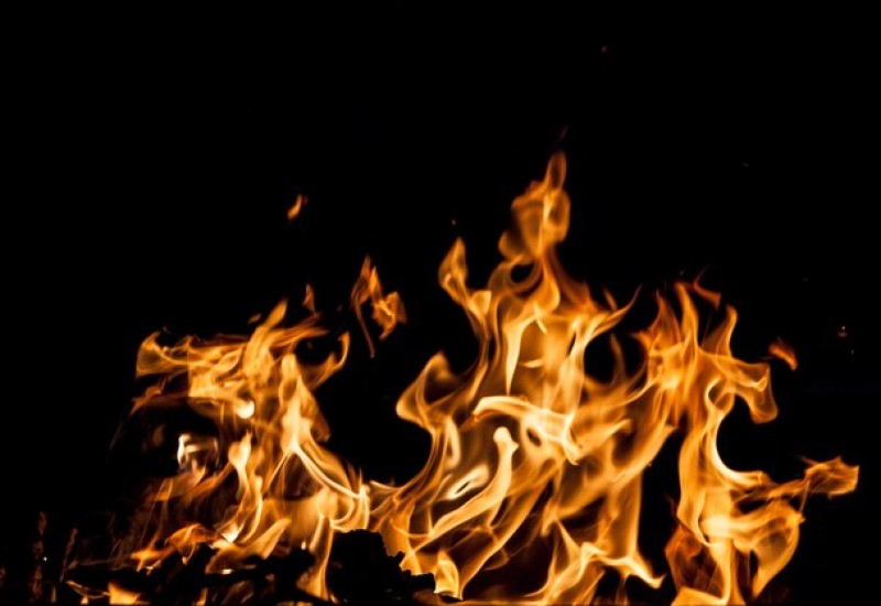 Foto: Freepik/Reprodução