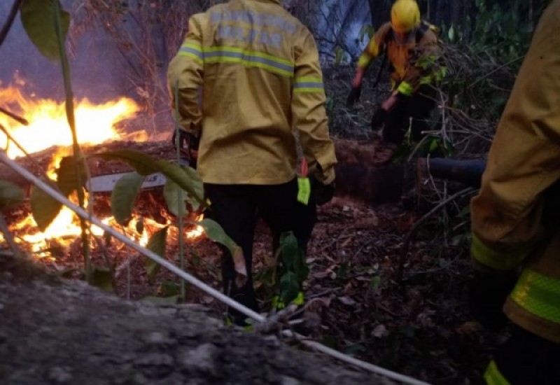 Equipes auxiliaram no combate ao fogo – Foto: Corpo de Bombeiros/Divulgação/ND