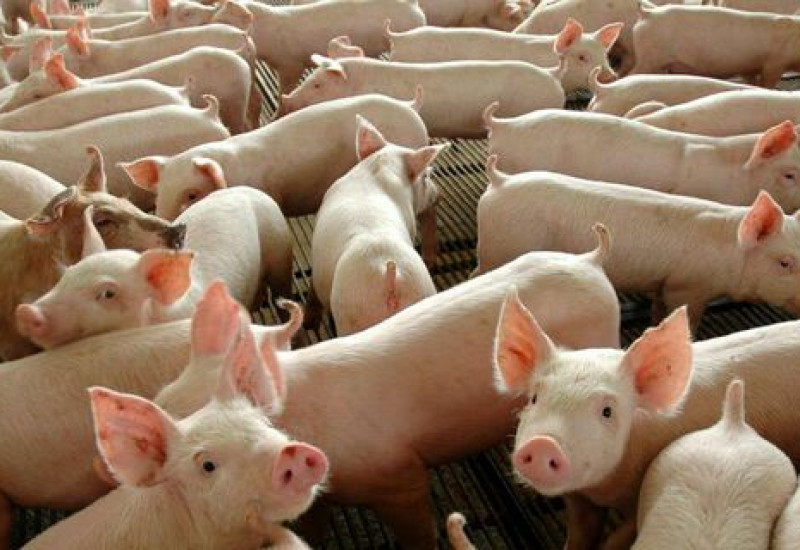 Foto: Governo Federal/Divulgação