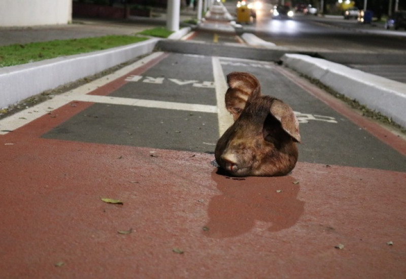 Foto: Cleiton Ferrass/ WH3