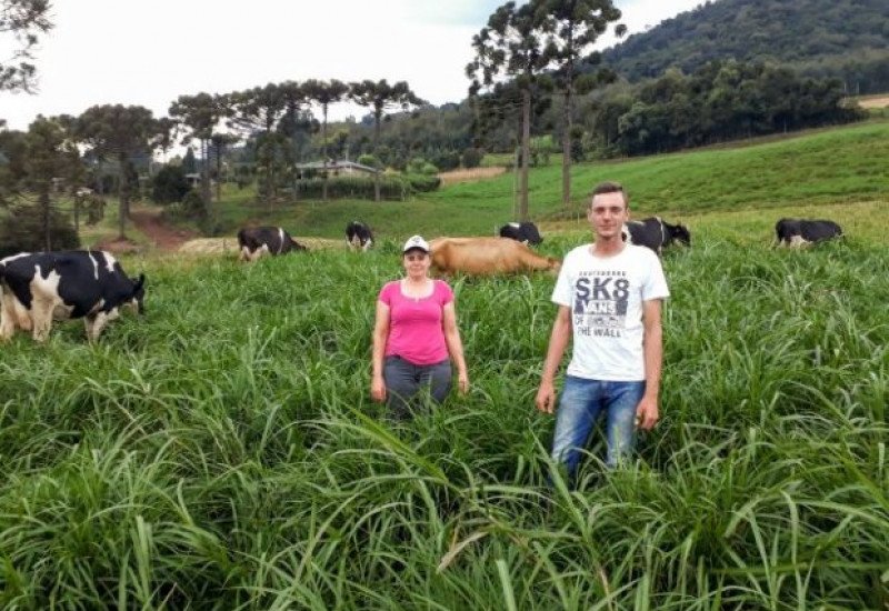 Foto: Divulgação/Epagri