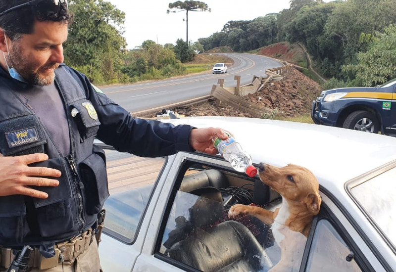 Foto: PRF/Divulgação/JRTV
